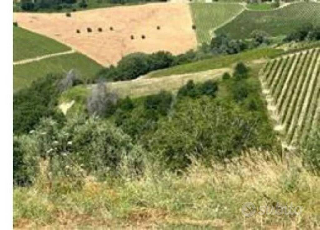 Immobile in asta di 429 m² a Montefiore dell'Aso - Vista 3