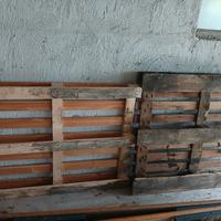 pallet gratis
