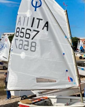 Optimist Winner 3D ITA 8567