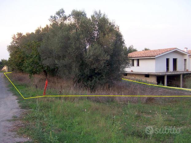 Terreno agricolo via di Boccea- Casalotti