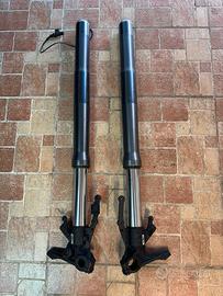 Forcelle multistrada V4S