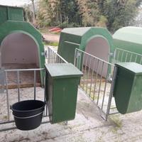 Capannina per vitelli