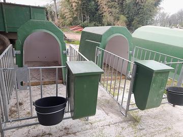 Capannina per vitelli