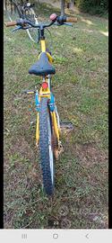 Bicicletta ruota 24