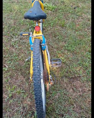 Bicicletta ruota 24