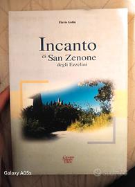 Incanto di San Zenone degli Ezzelini - di F.Golin