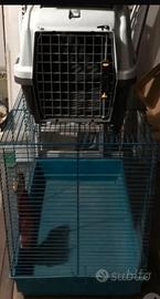 Gabbia o trasportino