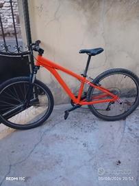 Bicicletta 26