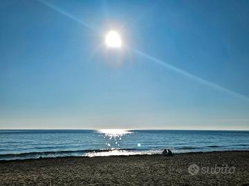 50 m dal mare -Top- Castiglione della Pescaia (Gr)