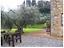 Immagine 7