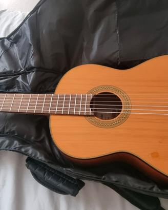 Chitarra Takamine G Series GSC1-NG