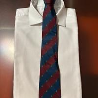 Cravatta vintage in seta Salvatore Ferragamo