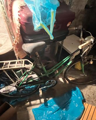 Bicicletta da donna silver star