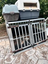 Kennel cane