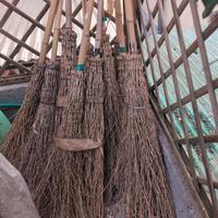 Scopa saggina giardino