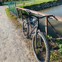 MTB 29" custom
