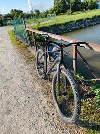 MTB 29" custom