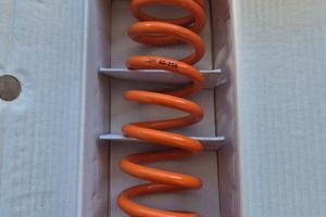 Molla ammortizzatore posteriore WP