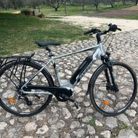 Bicicletta elettrica