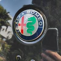 Baule da tetto originale Alfa Romeo