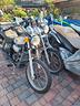 aprilia-red-rose-50