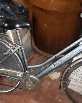 bicicletta da passeggio 26 e 28