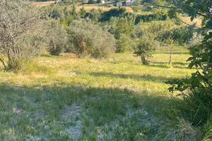 terreno  2 ettari Loreto Aprutino zona Colle Palma