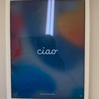 ipad air 2 16 gb gold