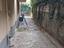 Immagine 5