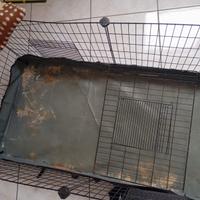 Gabbia per animali