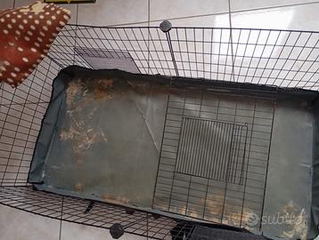 Gabbia per animali