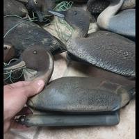 stampi per richiamo anatre