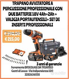 Trapano avvitatore a percussione professione 
