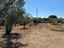 Immagine 28