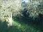 Immagine 25