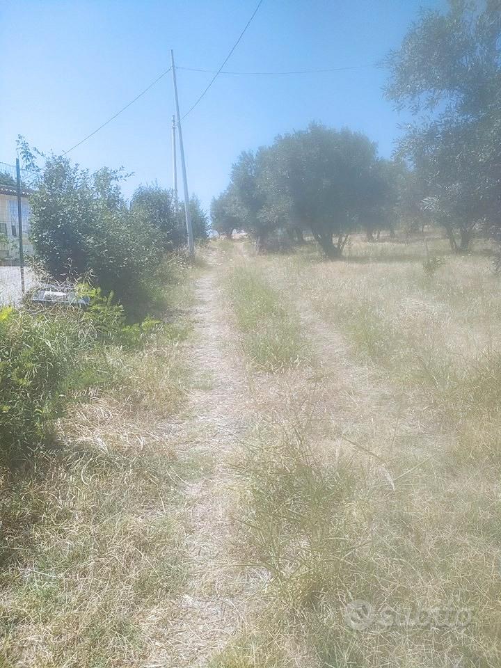 Terreno Agricolo e Intercluso. - Vista 3