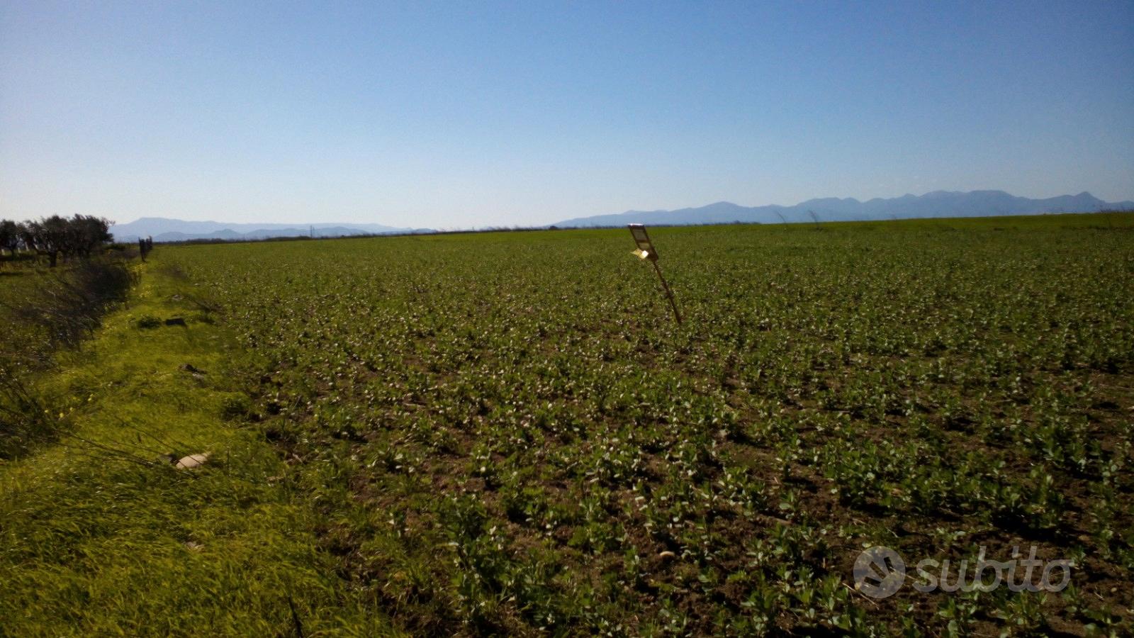 Monastir, terreno agricolo di 5340mq - Vista 5