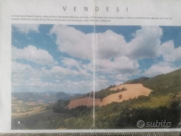 Terreno agricolo con fabbricato rurale