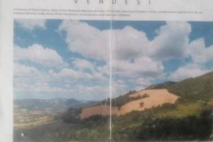 Terreno agricolo con fabbricato rurale