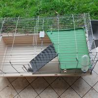Gabbia coniglio nano