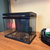Acquario 25litri