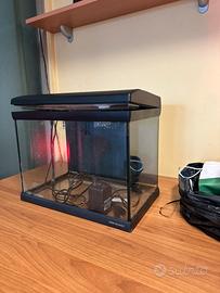 Acquario 25litri