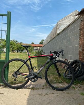 Merida scultura limited