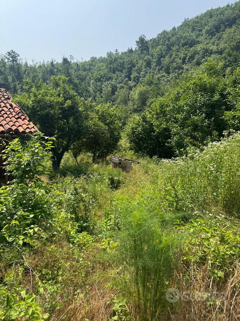 Terreno e rustico - Vista 6