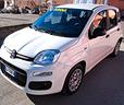 fiat-panda-hybrid-firefly-del-2022-con-85525-km