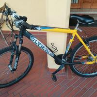 Bicicletta Mountain bike