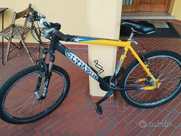 Bicicletta Mountain bike