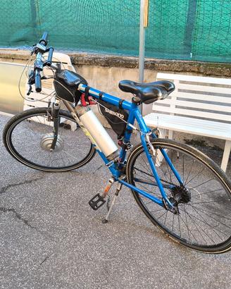 bici elettrica 