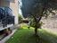 Immagine 18