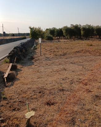 Terreno a San Simone, Crispiano